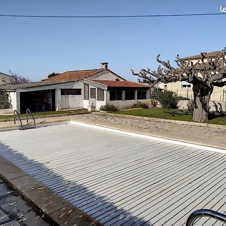 Chalet Typique Au Coeur De La Petite Camargue Villa Vauvert Ngoại thất bức ảnh